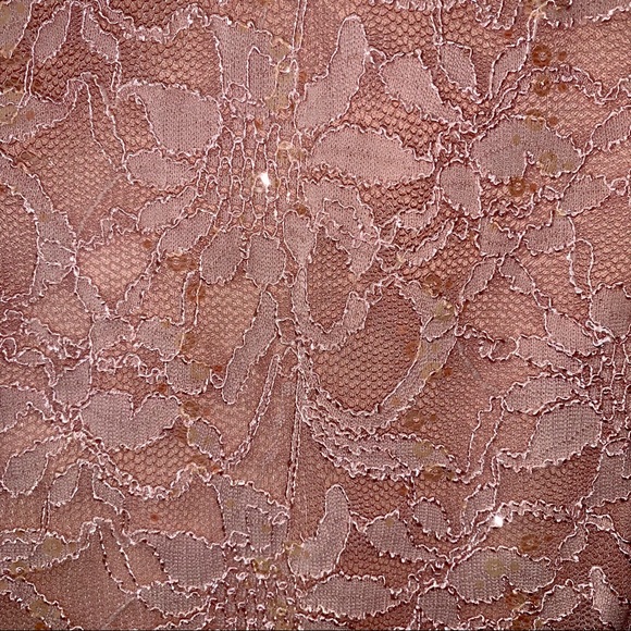 Reign On pink lace dress - Picture 3 of 6